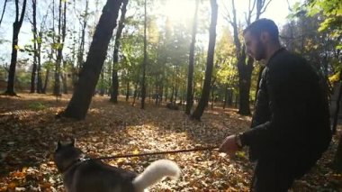 Sonbahar parkta bir Husky ile yürüyen bir adam. ağır çekim
