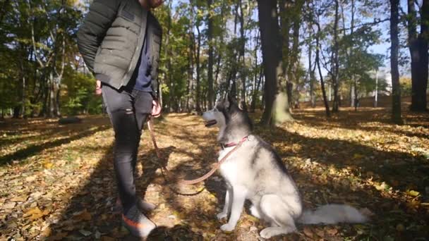 Ein Mann, der mit einem Husky im Herbstpark spazieren geht. Zeitlupe — Stockvideo