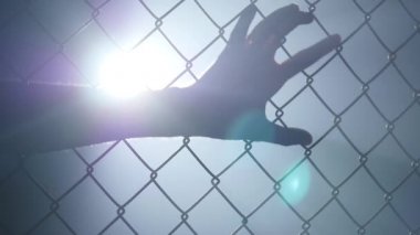 19.09.2017 - Chernivtsi, Ukrayna. Boş mma kafes arena sekizgen yüzük kavganıza ayıracak. Karışık dövüş sanatları mücadele. Sahne ışıkları yanıp sönen ışık ışınları. Yumuşak odak bulanıklık