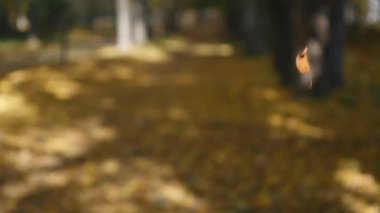 yakışıklı adam pen tarafından bir şey bir kağıt parçası üzerinde yazıyor