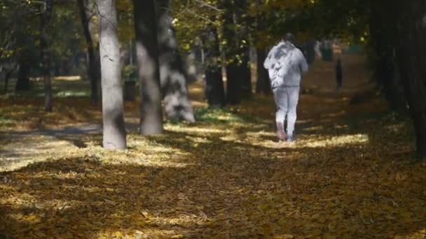 18.10.2017 Chernivtsi, Ucrania: Joven luchador en gancho gris corriendo en otoño hojas verdes y naranjas del parque y manos brandish como el boxeo — Vídeos de Stock