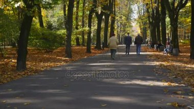 insanlar park lane bir sonbahar gününde. zaman lipse