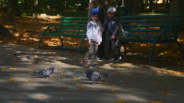 18.10.2017 Tjernivtsi, Ukraina: lycklig familj promenader längs park lane en höstdag — Stockvideo