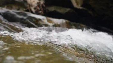 Güzel dağ nehir akar suda yuvarlak büyük bir taş