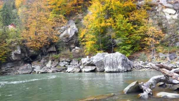 河水在美丽的山涧里绕着一块大石头流淌 — 图库视频影像