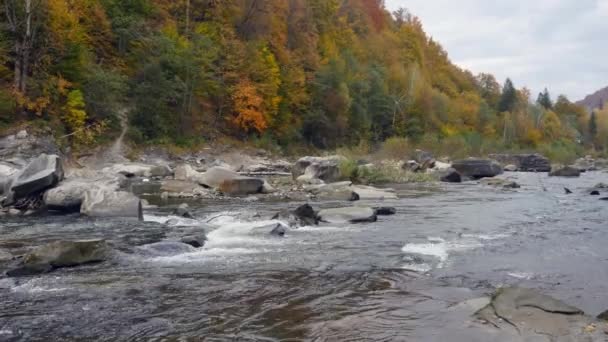 Wasser im schönen Gebirgsfluss fließt um einen großen Stein — Stockvideo
