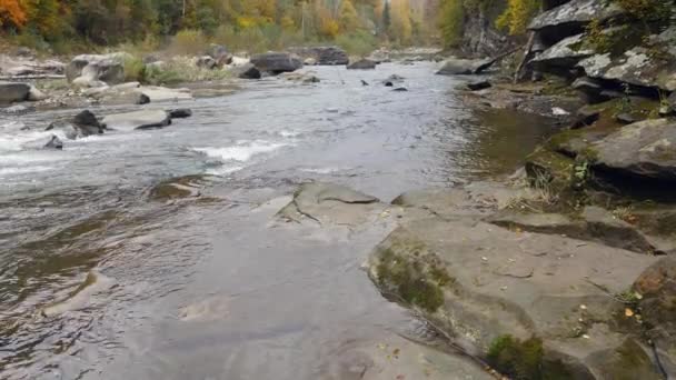 Вода в красивой горной реке течет вокруг большого камня — стоковое видео