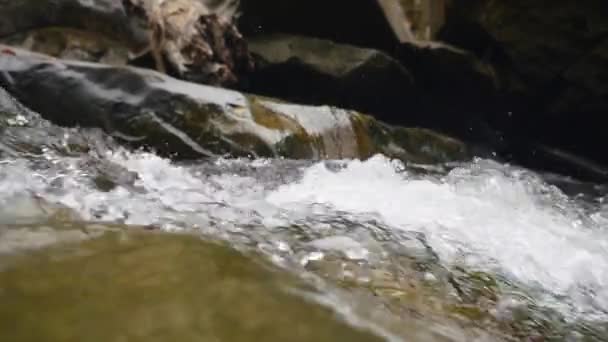 Water in the beautiful mountain river flows round a big stone — Stock Video