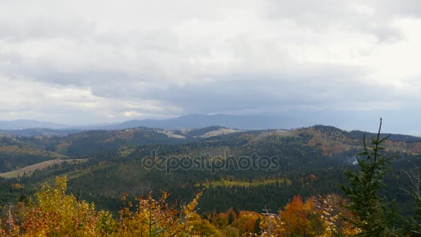 Δέντρα, καλυμμένα με κίτρινα και κόκκινα φύλλα, στα οποία πέφτει ζεστό φως του ήλιου που δύει, ψηλά στα βουνά. Φθινοπωρινή σκηνή — Αρχείο Βίντεο