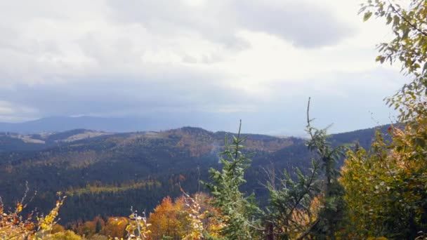 Trees, covered with yellow and scarlet leaves, on which falls warm light of the setting sun, high in the mountains. Autumn village scene — Stock Video