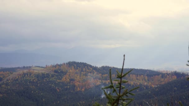 Bomen, bedekt met gele en dieprode bladeren. Herfst dorp scène — Stockvideo