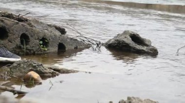 Sıkıcı bir sonbahar gün ormanda tarafından yağmur suyu akar. Taşlı bankalar ve alt, ağaçlar ve yeşil çim çevresinde vardır. Yağmur sığ akış aşağı düşüyor. Kuru ot dere kıyısında büyür. İç karartıcı görünüm