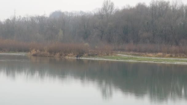 Paisaje otoñal, sombrío bosque brumoso río — Vídeos de Stock