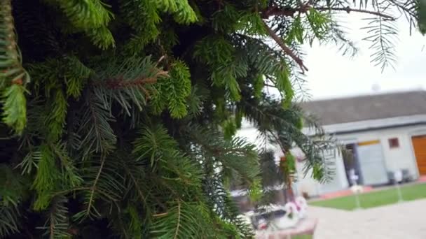 Décoration pour une cérémonie de mariage sur une cour — Video