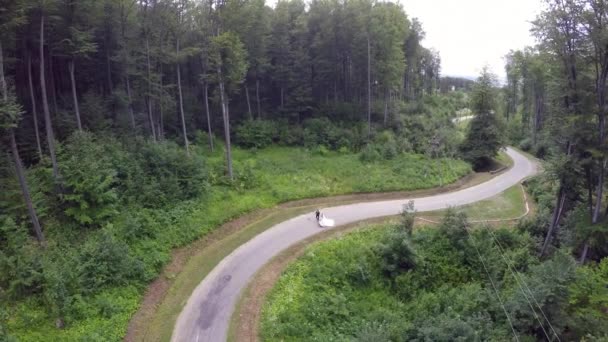 Noiva conceito romântico casamento segurando mão Floresta Walking. drone de tiro — Vídeo de Stock