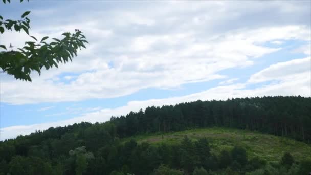Zobacz Landskap góry drzewa niebo mgła — Wideo stockowe