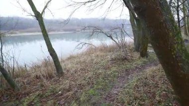 Sıkıcı bir sonbahar gün ormanda tarafından yağmur suyu akar. Taşlı bankalar ve alt, ağaçlar ve yeşil çim çevresinde vardır. Yağmur sığ akış aşağı düşüyor. Kuru ot dere kıyısında büyür. İç karartıcı görünüm