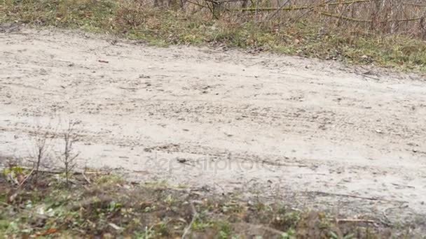 Köy yolu, köy yolunda, kırsal road, köy yolunda — Stok video