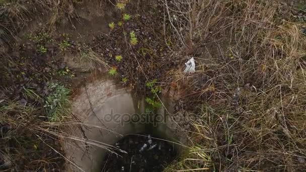 Beerputten in de tuin van een huis — Stockvideo