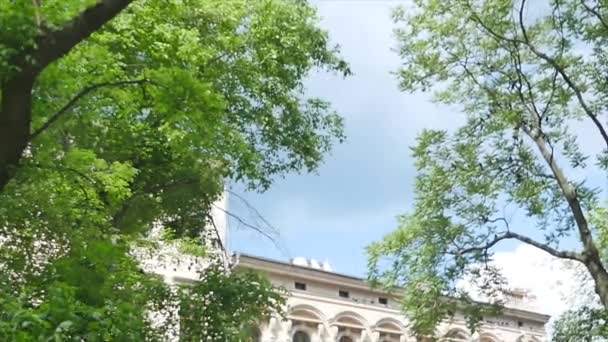 Kijken op de blauwe hemel met cloud door de takken van bomen — Stockvideo