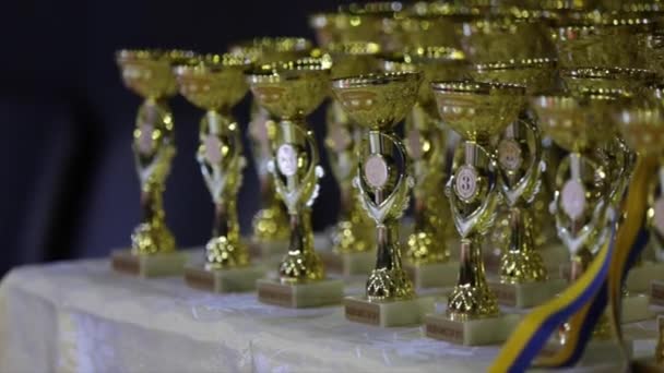 Gouden en zilveren medailles van de laatste wedstrijd van de Oekraïense Rugby Cup. Boeket van sport medailles, Rugby kampioen cup — Stockvideo