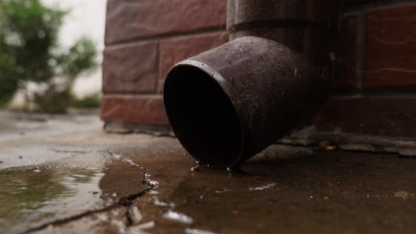 Tubo di scarico dell'acqua di stagno e gocce d'acqua cadono. Raccolta dell'acqua piovana — Video Stock