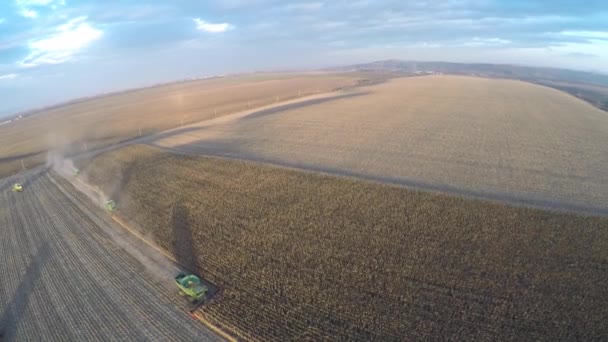 Aerial drone strzał kombajn pracy w dziedzinie, o zachodzie słońca. Strzał w 4 k Uhd — Wideo stockowe