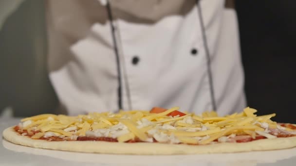 Chef Hand Making Italian Pizza. — Stock Video