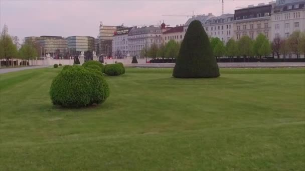 Grüner Rasen mit Sträuchern und Bäumen in der Stadt in der Nähe von Straßen und Gebäuden — Stockvideo