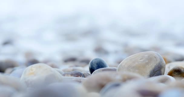Крупный план мокрые камни на пляже возле волн на море — стоковое видео