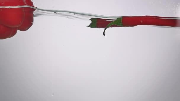 工作室拍摄红灯笼辣椒水飞溅在水族馆白色背景 — 图库视频影像