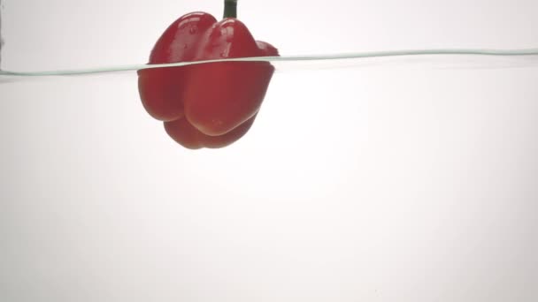 Estudio tiro pimientos rojos en salpicadura de agua en el acuario sobre fondo blanco — Vídeos de Stock