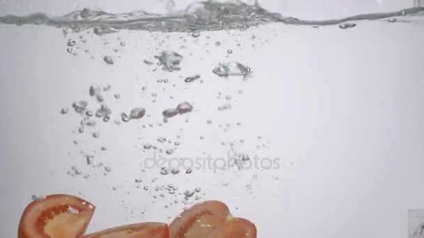 Tomates en rodajas que caen al agua sobre fondo blanco — Vídeo de stock