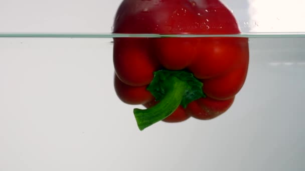 Studio shot red bell peppers in water splash in aquarium on white background — Stock Video