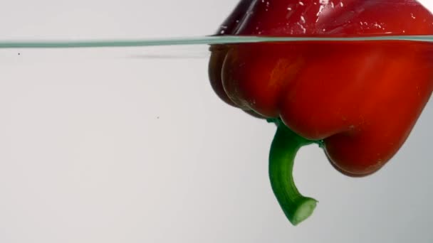Studio shot red bell peppers in water splash in aquarium on white background — Stock Video