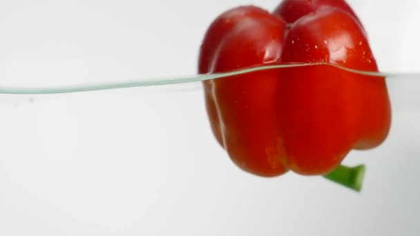 Studio shot red bell peppers in water splash in aquarium on white background — Stock Video