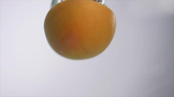 Половина грейпфрута падает в воду — стоковое видео