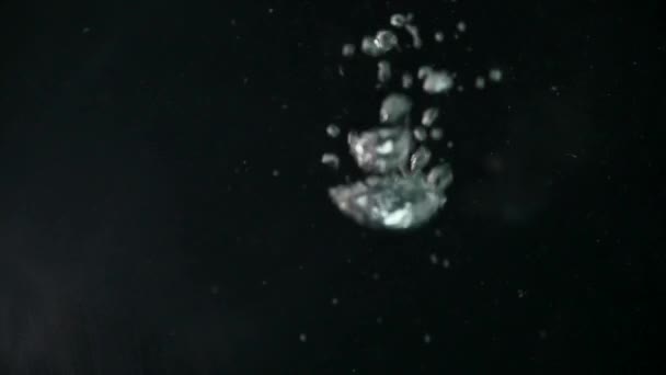 Пузыри в воде на черном фоне — стоковое видео