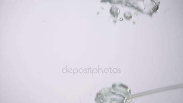 Μισό μήλο πέφτει στο νερό σε λευκό φόντο — Αρχείο Βίντεο