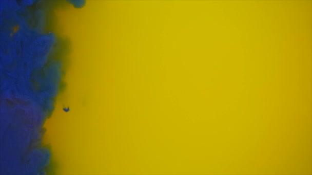 Blaue und gelbe Tinte im Wasser. auf weißem Hintergrund. — Stockvideo