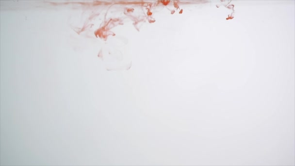 Studio girato peperoni rossi in spruzzata d'acqua in acquario su sfondo bianco — Video Stock