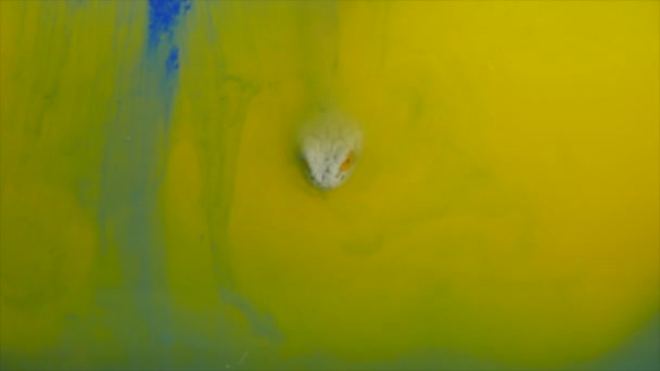 Suda ıslatın ve mürekkep, renkli soyutlama yılan — Stok video