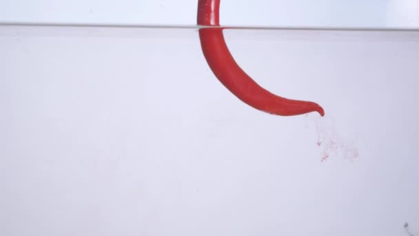 Studio opname van rode paprika in water splash in aquarium op witte achtergrond — Stockvideo