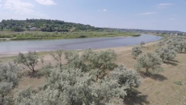 Sommerlandschaft am Ufer des grünen Flusses. Drohnenschießen. — Stockvideo