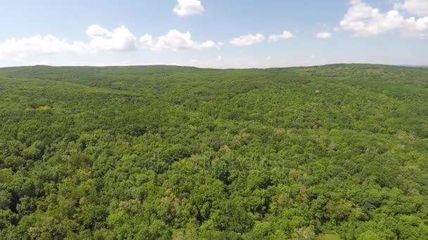 침 엽 수 숲으로 덮여 산맥의 항공 보기 — 비디오