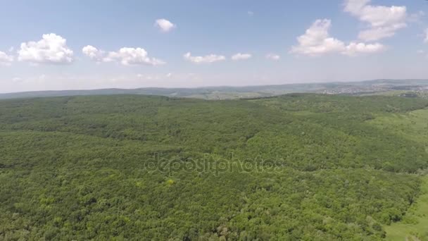 Vista aérea de montanhas cobertas de florestas de coníferas — Vídeo de Stock