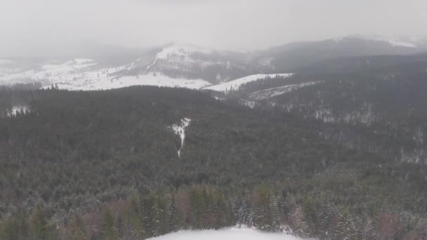 Panorama Cárpatos neve dia. vídeo drone — Vídeo de Stock