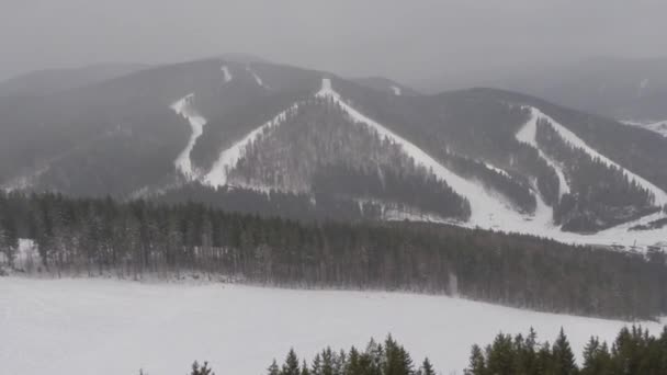 Panorama Carpathians snow day. drone video — Stock Video