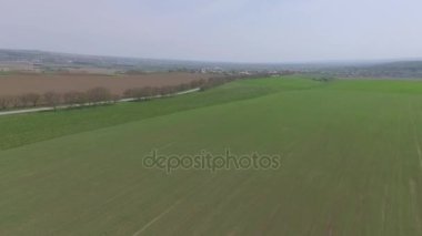 yeşil alan yol ile. uçak video.