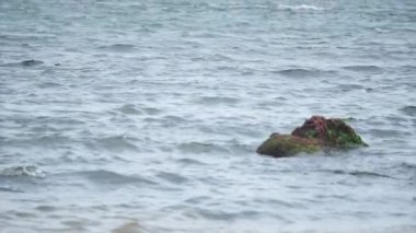 Deniz dalgası yavaş hareketleri ile taş